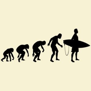 Evolution Surf Noir