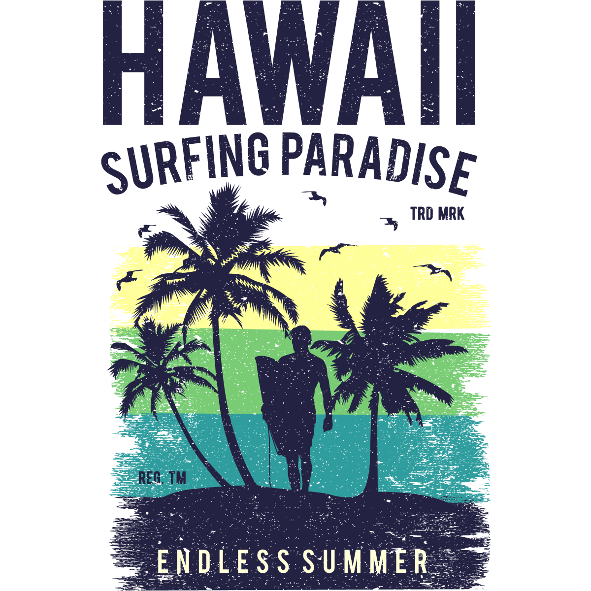 Hawaii Surfing Paradise