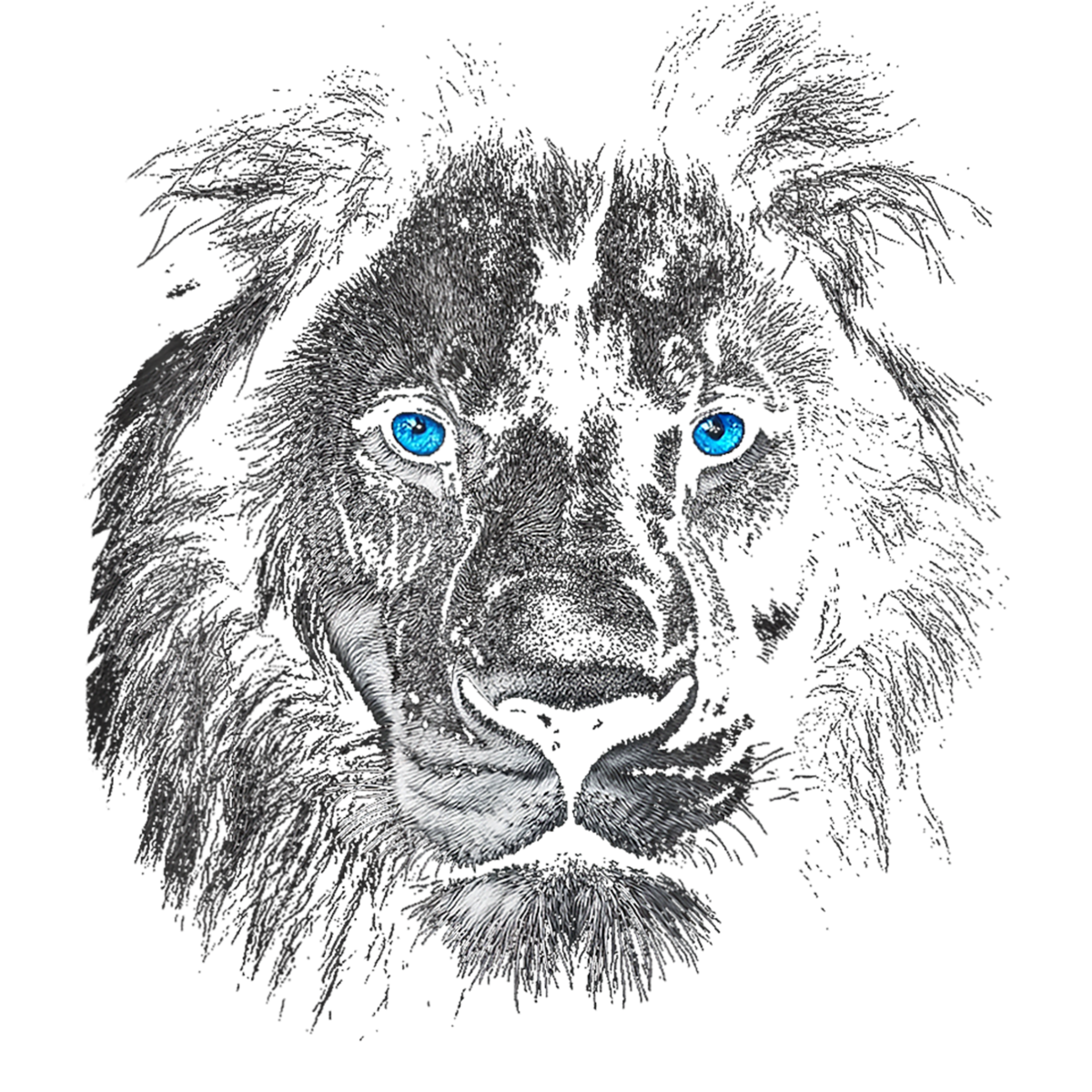 Lion aux yeux bleus