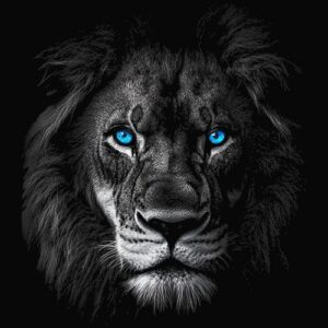 Lion aux yeux bleus