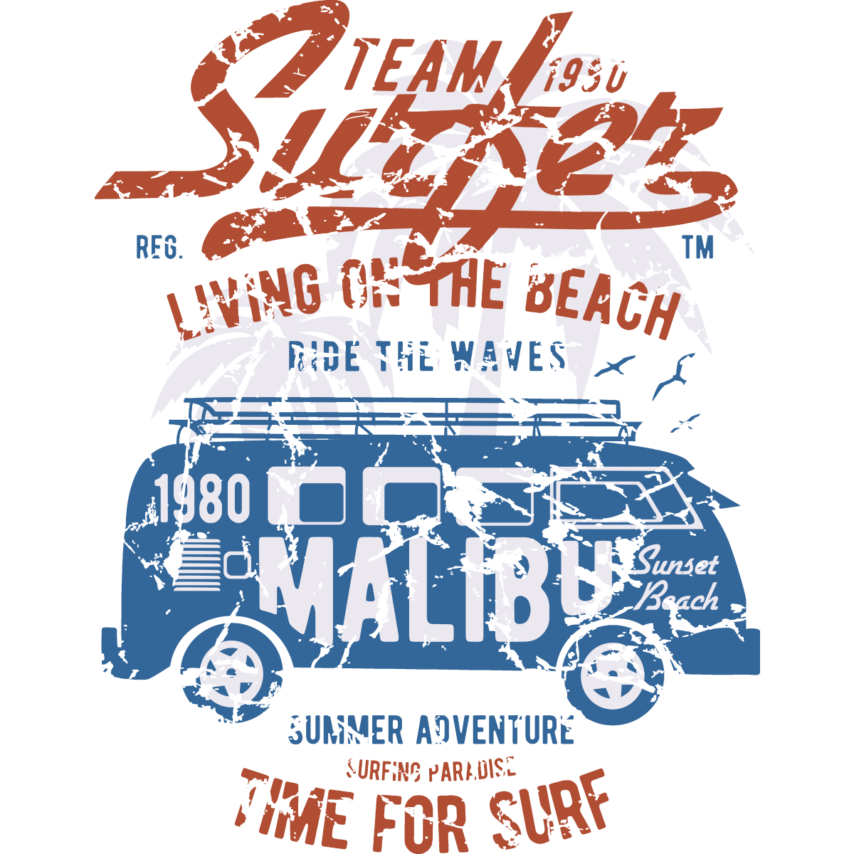 Team Surfer 1980