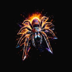 Araignée colorée éclaboussures orange bleu rouge