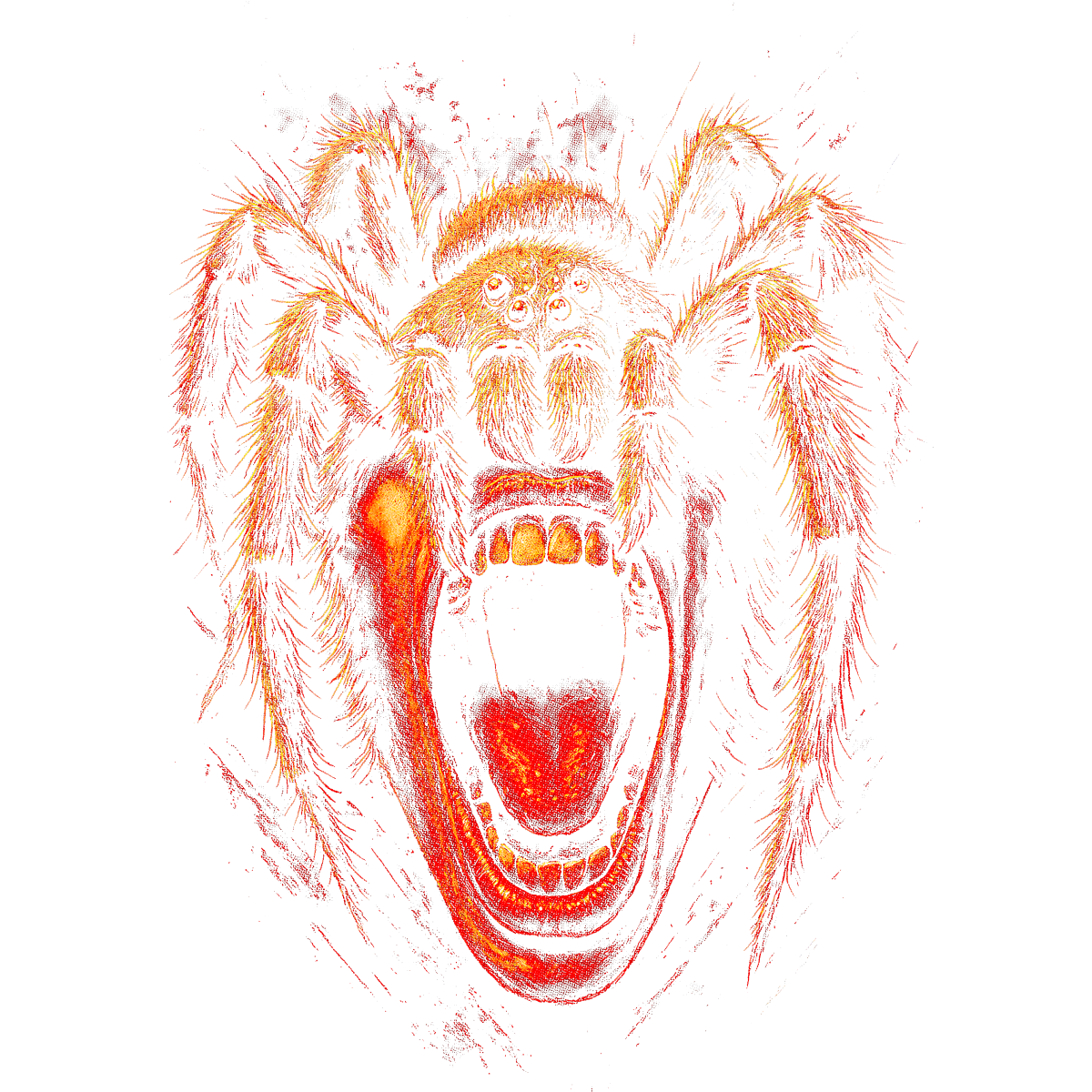 Attaque araignée sur visage