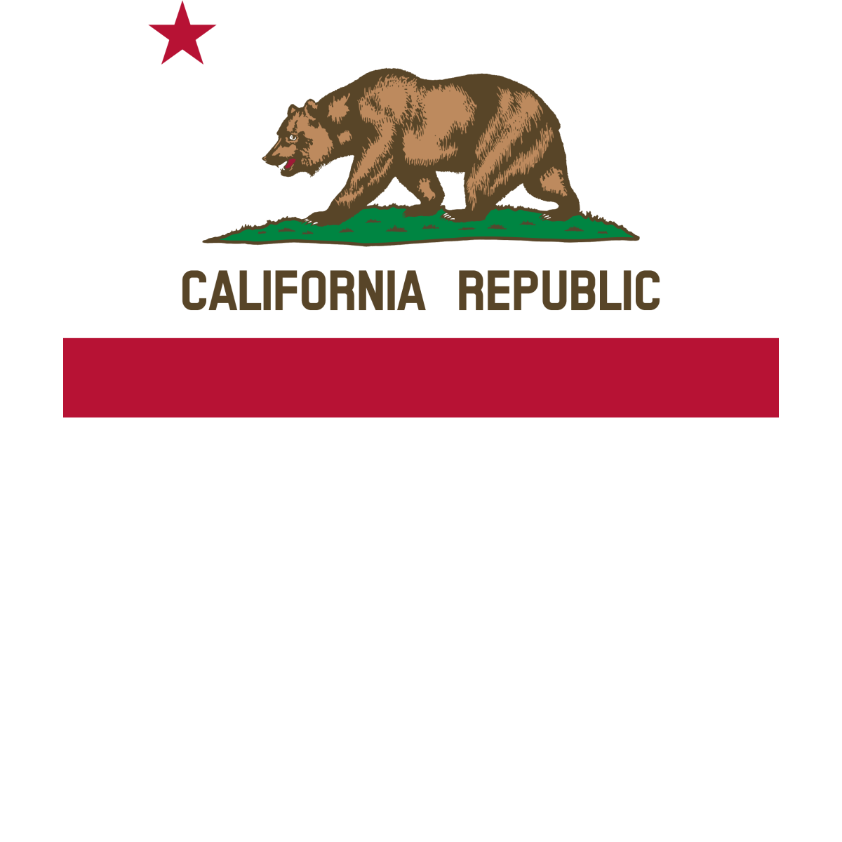 California Republic Drapeau flag