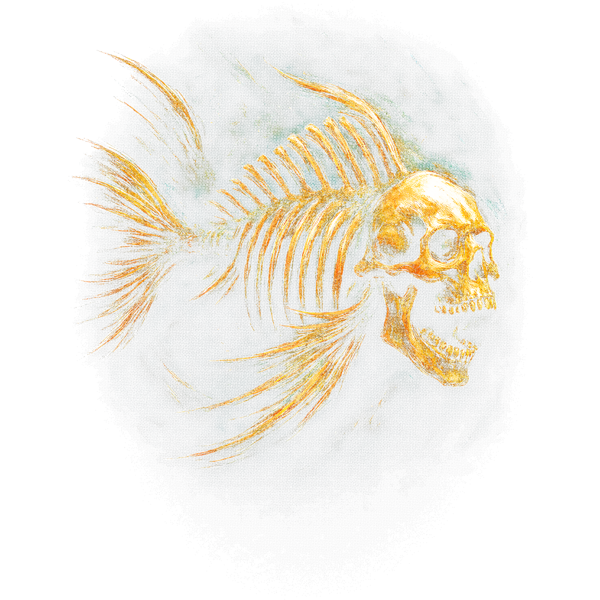 Fish Skull