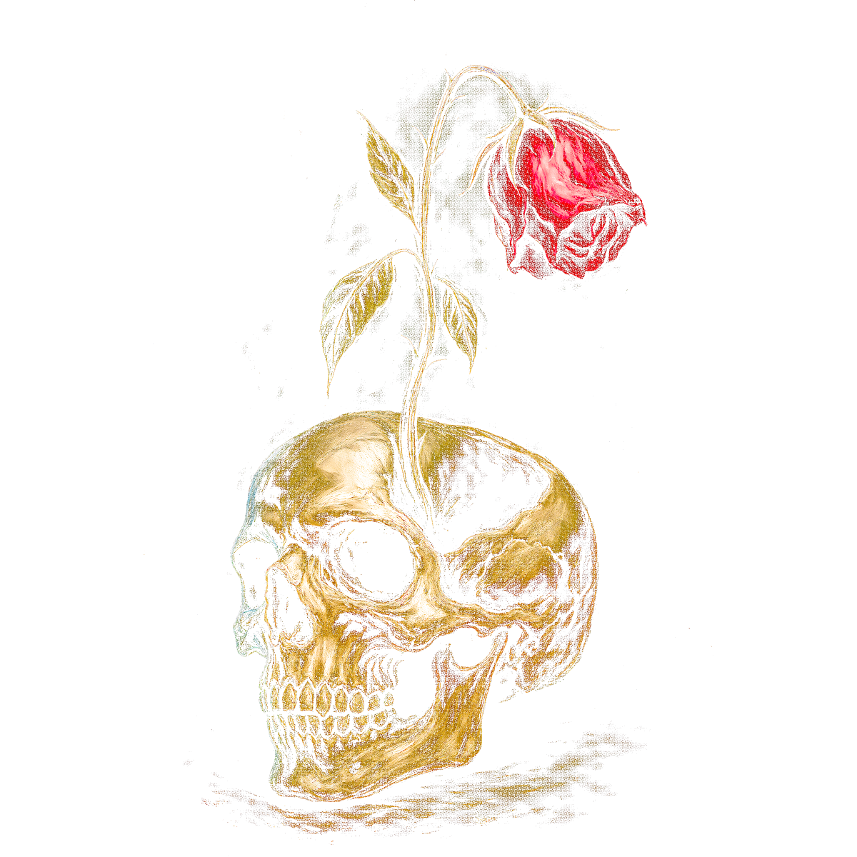 Met une Rose dans ton Crâne