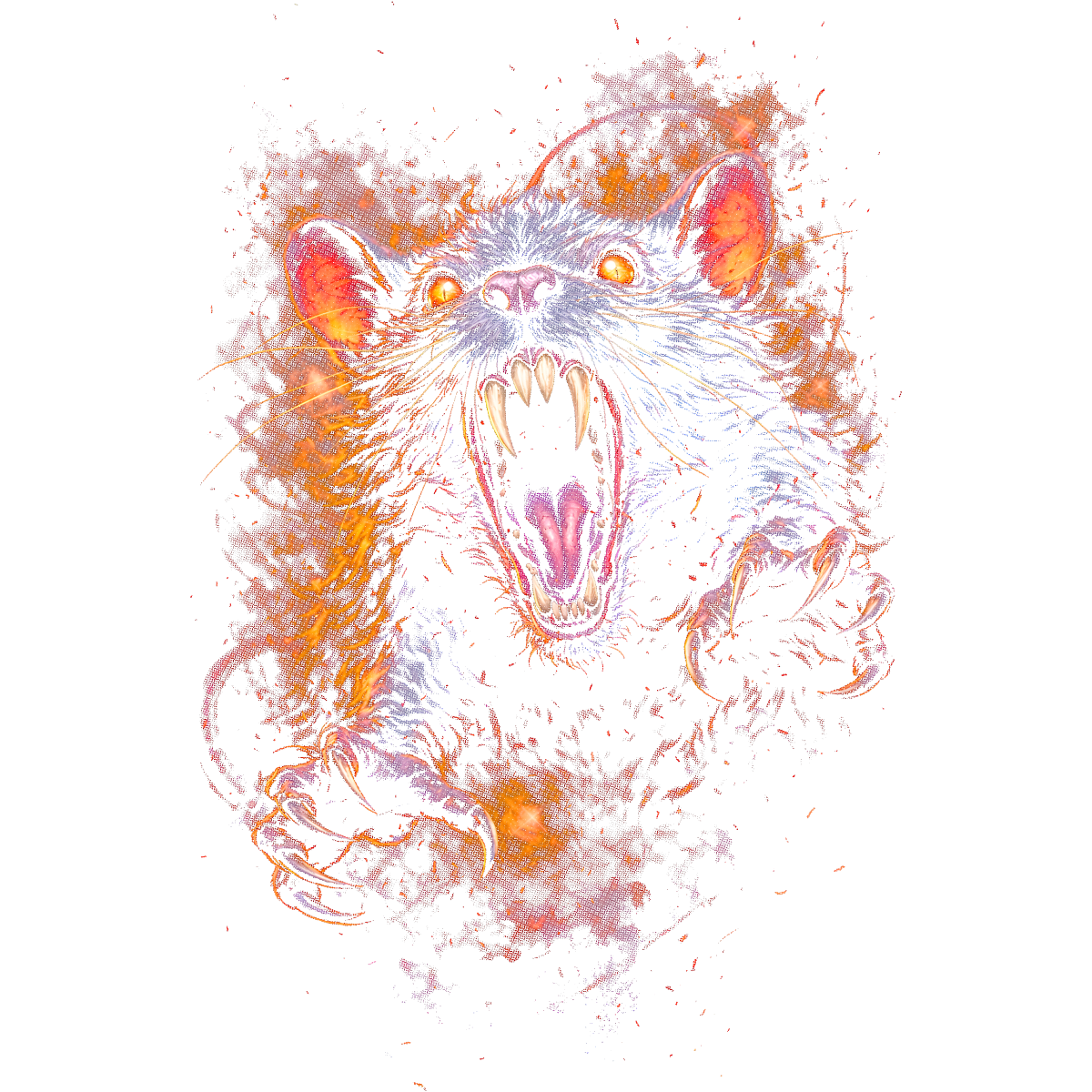 Rat agressif gueule ouverte griffes visibles