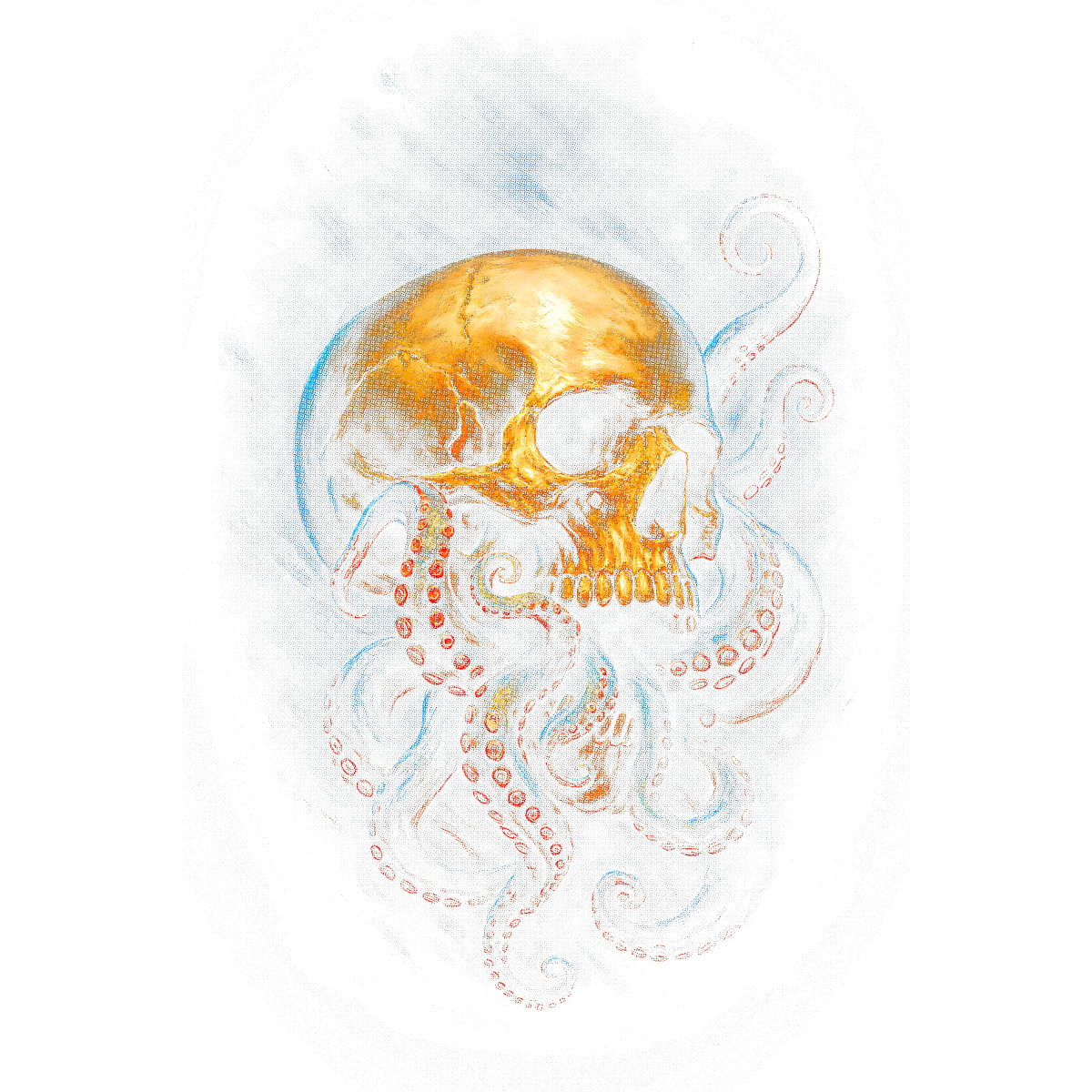 Skull and poulpe