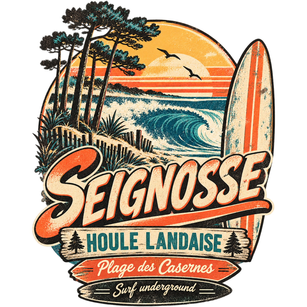 Surf Seignosse Houle Landaise