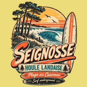 Surf Seignosse Houle Landaise