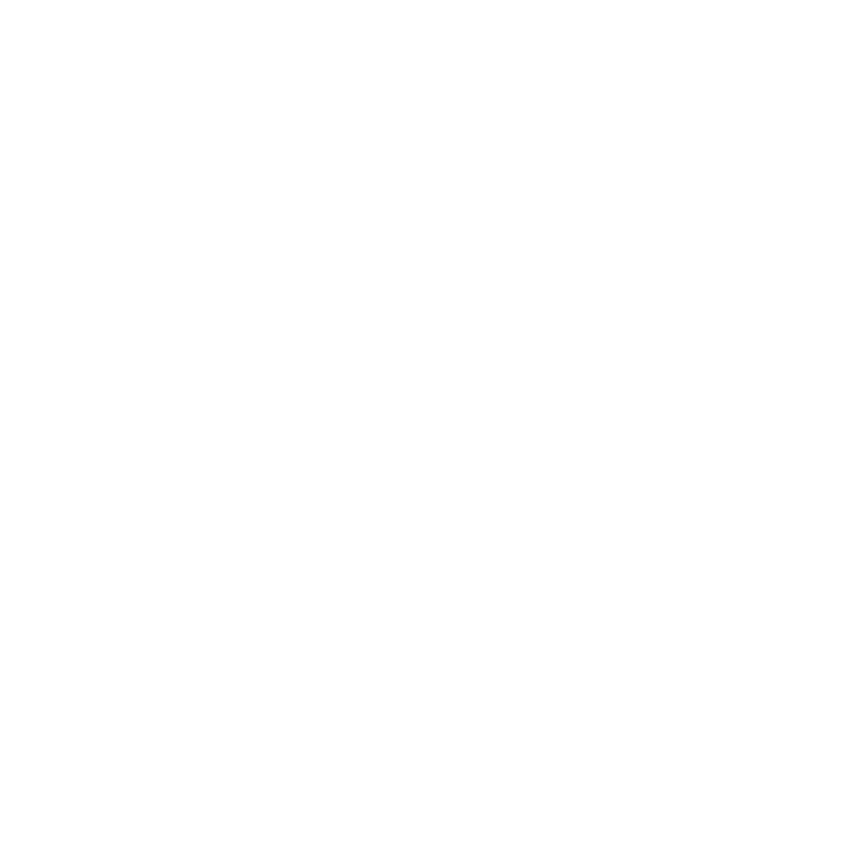 The Gamer