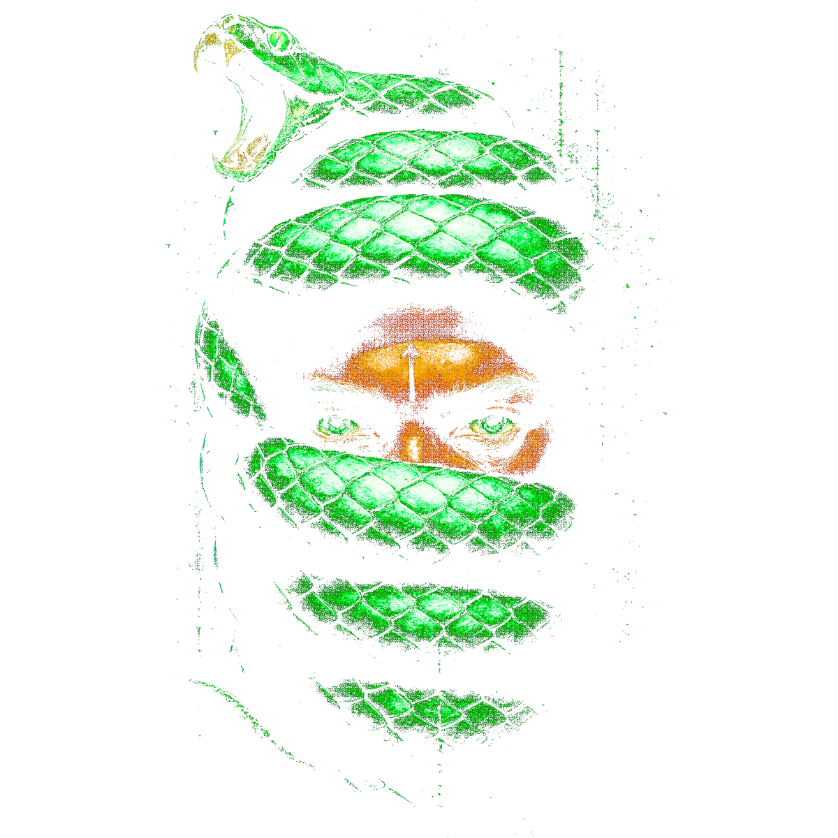 Visage serpent vert morsure ouverte